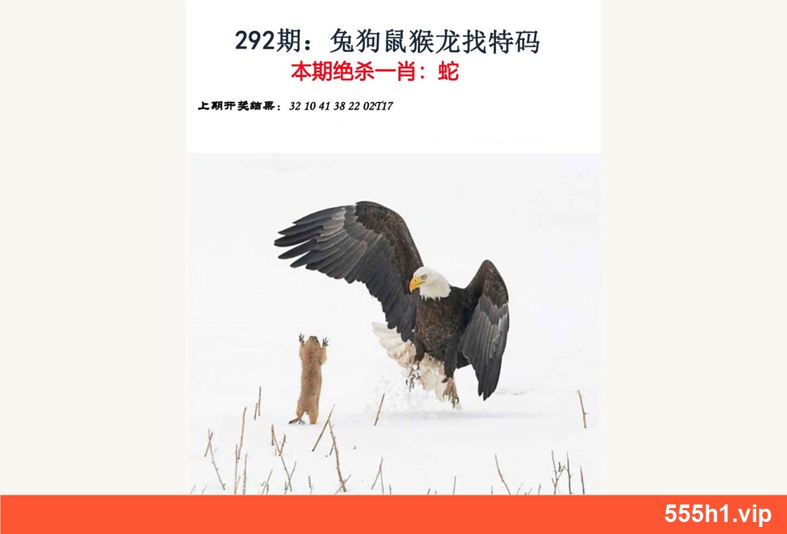 彩色图纸 · 金钱豹自有真功夫第一版，标注555h1.vip