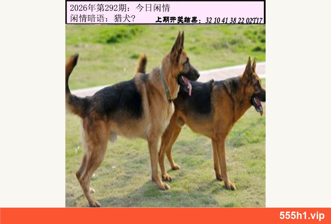 彩色图纸 · 今日闲情A，标注555h1.vip