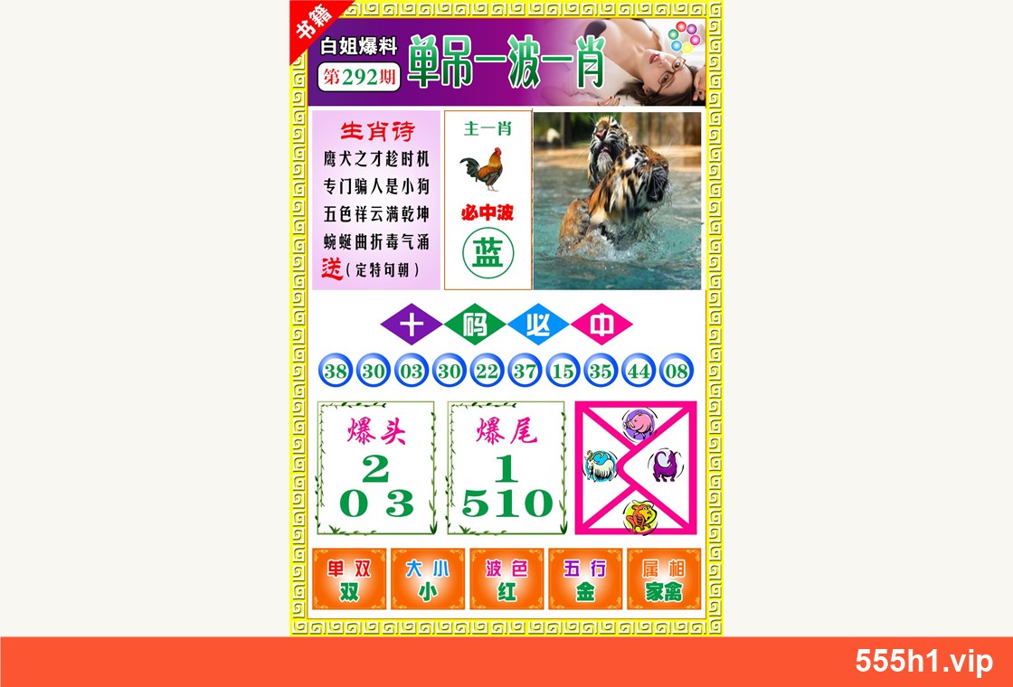 彩色图纸 · 澳门白姐暴肖，标注555h1.vip