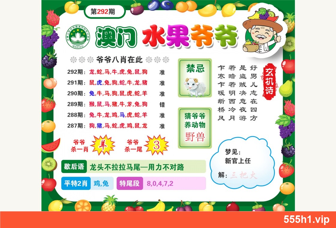 彩色图纸 · 水果爷爷配图，标注 555h1.vip